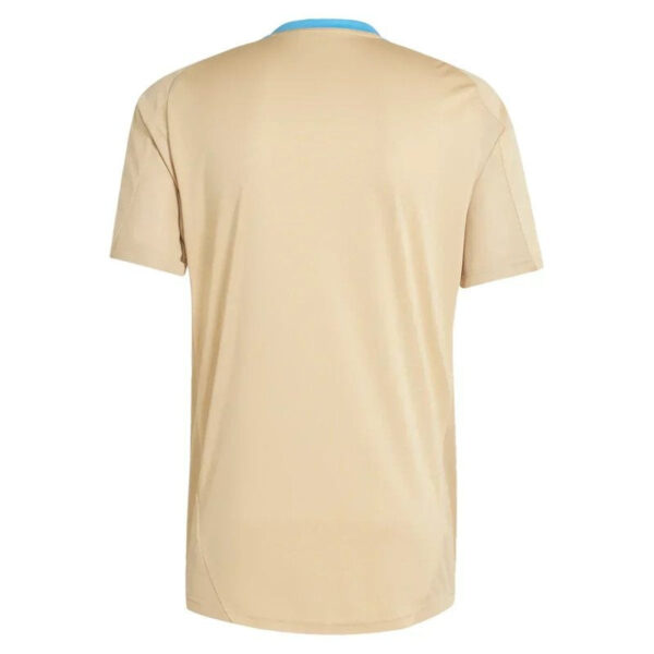 Argentina 24/25 Pre Match Training Jersey - Fan Version - Image 2