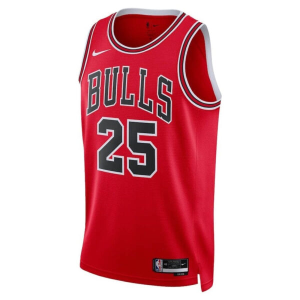 Dalen Terry Chicago Bulls Unisex 2022  NBA Jersey - Icon Edition - Red - Image 2